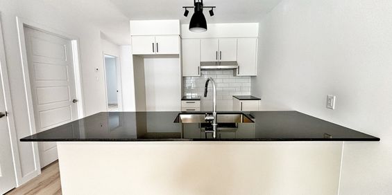 4 1/2 Neuf 2025 - Photo 3