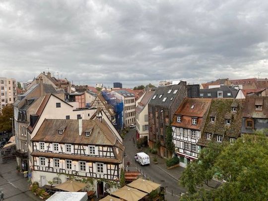 Appartement 2 pièces de 39.66m² à louer avec vue dégagée à Strasbourg (67000) | Krutenau - Photo 1