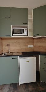 Location Appartement 1 pièce 25m² STRASBOURG 67200 - Photo 3