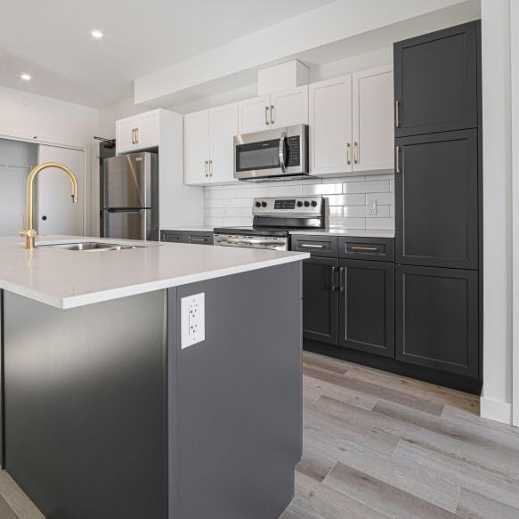 Virginia: Gold Accents – 196 Colony, Winnipeg, MB - Photo 1