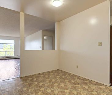 Premier Suite - 1 Bedroom - Photo 4