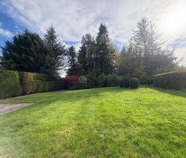 4 bedroom terraced house to rent - Photo 4