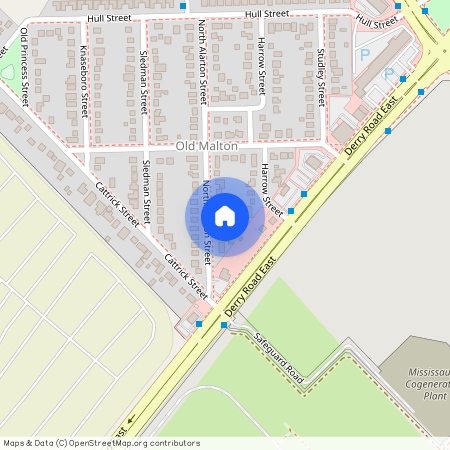 14 North Alarton Street, Mississauga