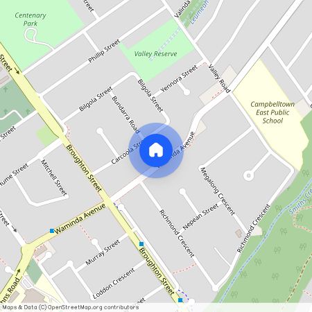 127 Waminda Ave, Campbelltown NSW 2560