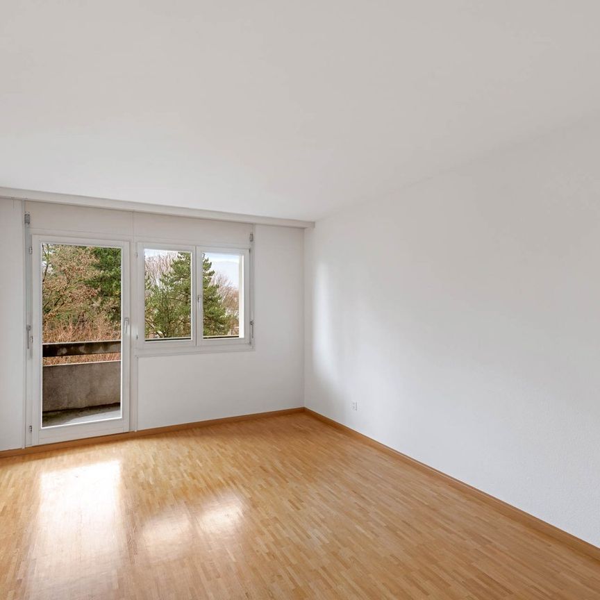 4.5 Zimmer, 105 m², EG - Foto 1