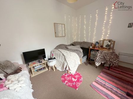 1 Bedroom Studio - Photo 4