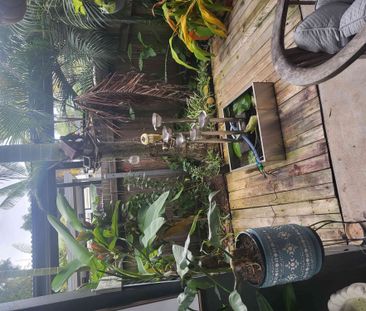 Yandina - Photo 4