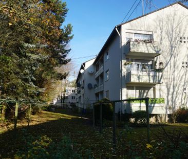 Demnächst frei! 2-Zimmer-Wohnung in Sinzig - Photo 1