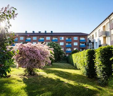 Ljuragatan 81 - Photo 3