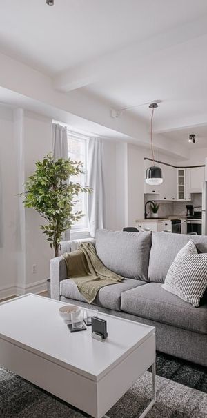 Le Claridge 3 ½ Entièrement Meublé à Louer Montcalm / Saint-Sacrement Septembre 2026 - Photo 1