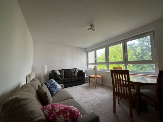 Room in a Shared Flat, Culvert Road, SW11 - Photo 1