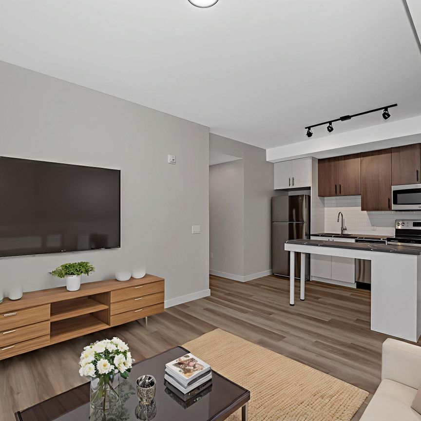 For Lease - 211 Armstrong Street Unit# 002, West Centre Town, Ontario - Photo 1