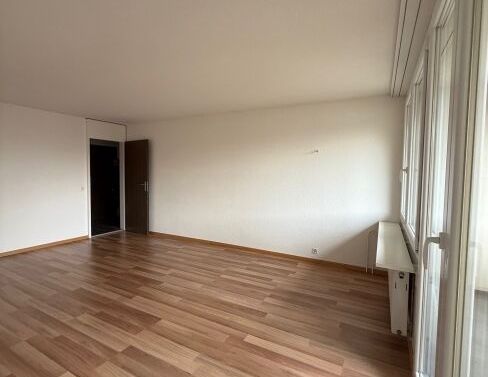 Living with a view of Lake Zurich - Photo 1