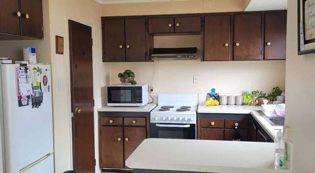 Beautiful tidy 2 bedroom home with large double bedrooms - Photo 1