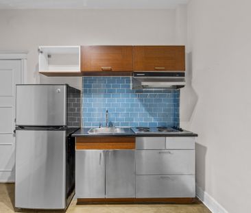 406 Av. des Pins O., Montréal (Le Plateau-Mont-Royal), QC H2W - Photo 4