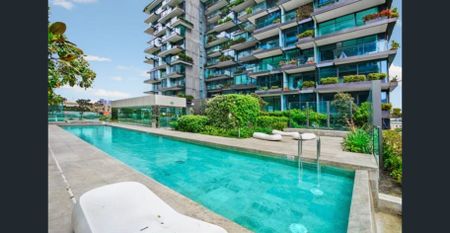 Natural sun light, furnished apartment in the centre of Sydneys CBD - Photo 4