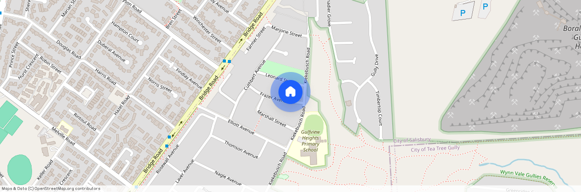 16 Frazer Avenue, Gulfview Heights SA 5096