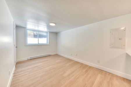 Appartement à louer - Montréal (Mercier/Hochelaga-Maisonneuve) (Hochelaga-Maisonneuve) - Photo 3