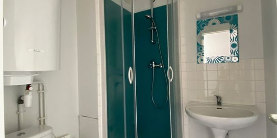 Location Appartement 1 pièce 17m² CHATEAUBRIANT 44110 - Photo 3