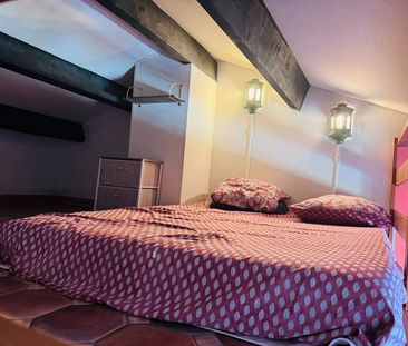 Location Appartement 1 pièce 17m² - Photo 3