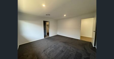 Just in time for Christmas! - Photo 4