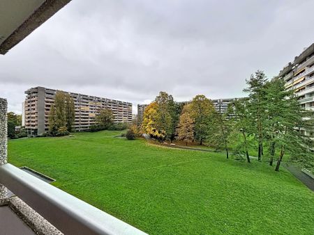 Magnifique 4.5 pièces meublé, comme neuf - Foto 3