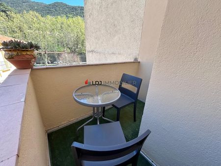 Location Appartement 1 pièce 25m² AMELIE LES BAINS PALALDA 66110 - Photo 3