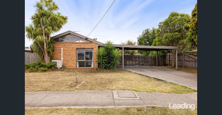 Central Mitchells Lane - Large Rear Yard! - Photo 3