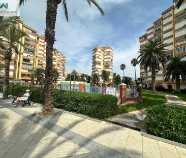 Algarrobo - Foto 3