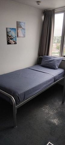 Central Auckland studio apartment Oasis with - Photo 4