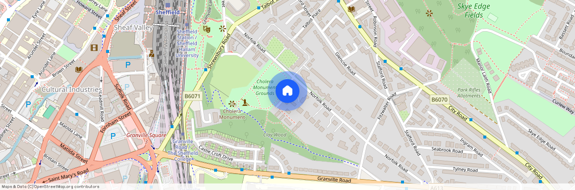 Belmonte Gardens, Sheffield, South Yorkshire, S2