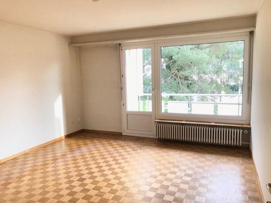 Charmante Wohnung an der Limmat zu vermieten! - Photo 1