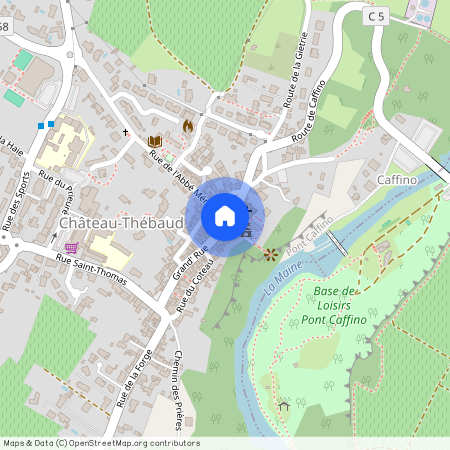 Loire-Atlantique, 44, 44690, Chateau Thebaud