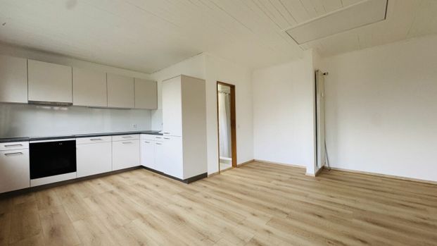 Gepflegte 2.5-Zimmer-Maisonette mit Garten & eigener WM/TU im 2-Familienhaus - per sofort - Foto 1