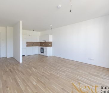 Sonnige 2-Zimmer-Wohnung mit großzügiger Terrasse in Linz nähe Humm... - Photo 1