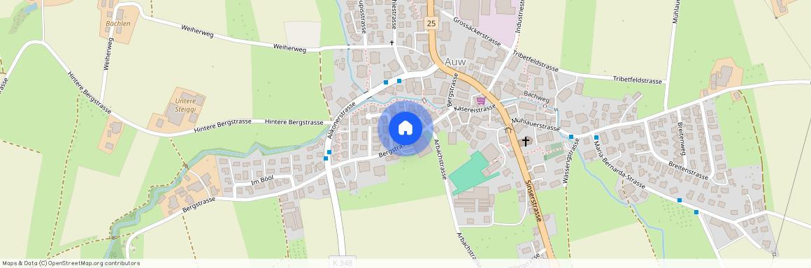 5644, Auw, Bergstrasse, 10