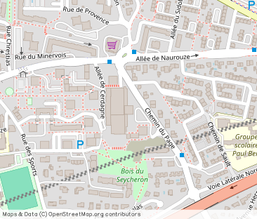 Allée du Vicdessos, Colomiers - Photo 1