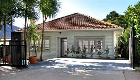 Stylish Grey Lynn Living - 21 Dryden Street - Photo 5