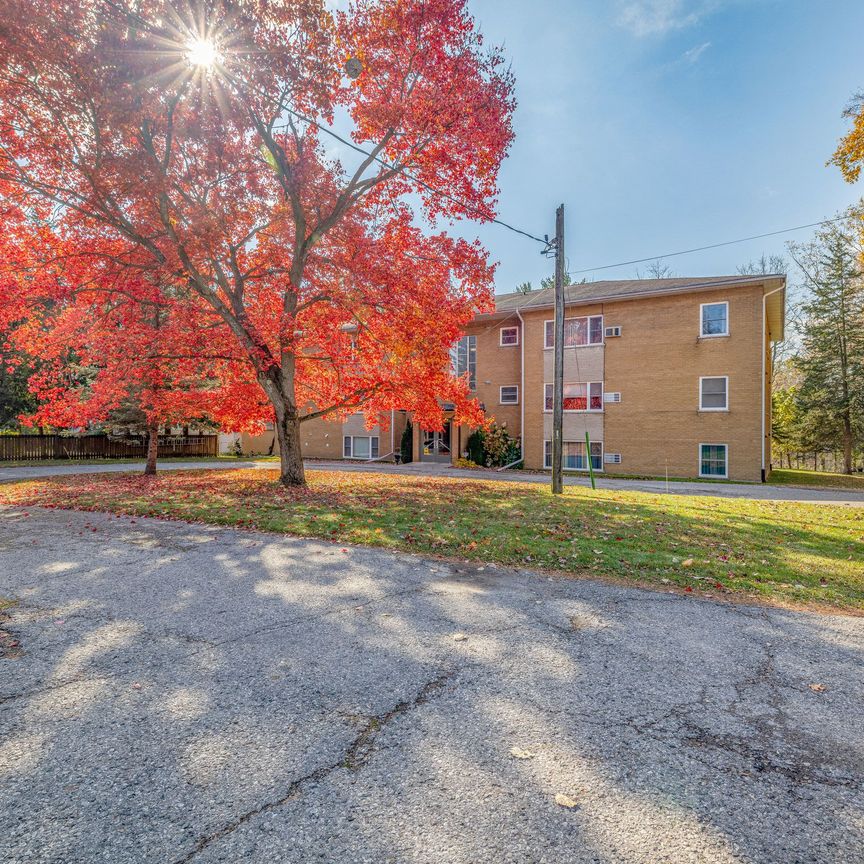 For Lease - 75 Hale Street Unit# 5, Tillsonburg, Ontario - Photo 1