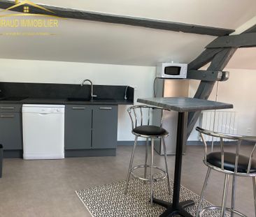 Location Appartement 1 pièce 23m² CHARLIEU 42190 - Photo 2