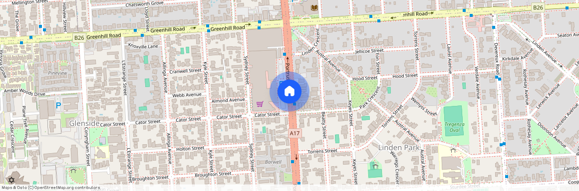 58 Lomandra Av, SA 5065, Glenside