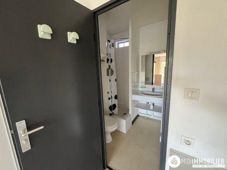 Location Appartement 1 pièce 23m² ALBI 81000 - Photo 3