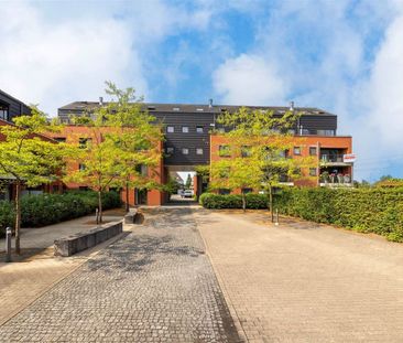 Gandhiplein 4, 2200, Herentals - Photo 3