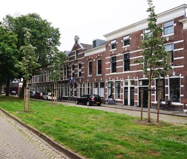 Warande - Photo 5