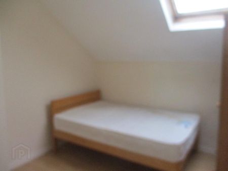 Upstairs Apartment, 79c University Avenue, Belfast, Belfast, BT7 1GX - Photo 3