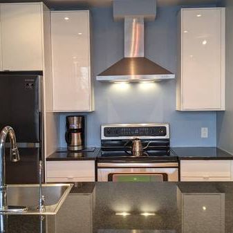 Furnished Condo Rental - 2 Bed Suite, Private Garden, Rooftop Patio - Photo 4