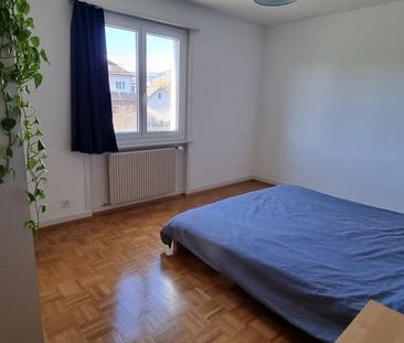3 Zimmer, 54 m², EG - Photo 3