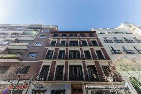 Calle de Lagasca, Madrid, Community of Madrid 28001 - Photo 4