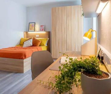 Silver Studio Premium - Photo 6