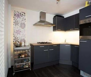 Samuel de Langestraat - Photo 2